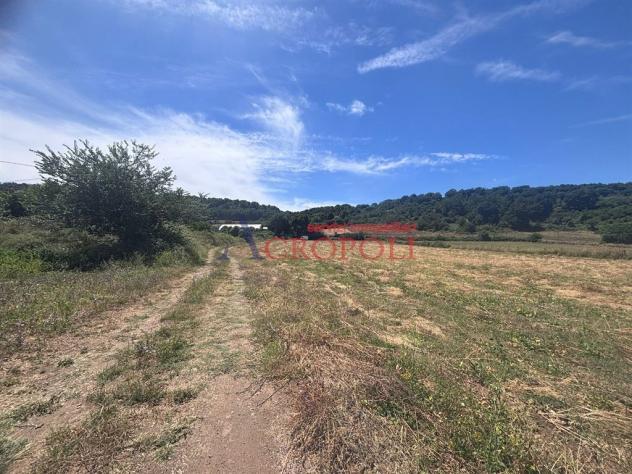 Terreno Agricolo - Rif. 2672 - Foto 9