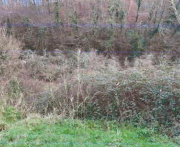 Immobile in asta di 12950 m² in vendita a Fucecchio - Foto 4