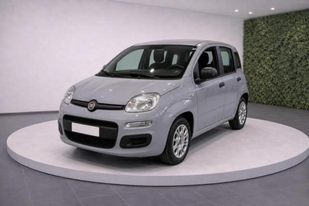 FIAT Panda III 1.2 8v 69Cv Easy rif. 23680089
