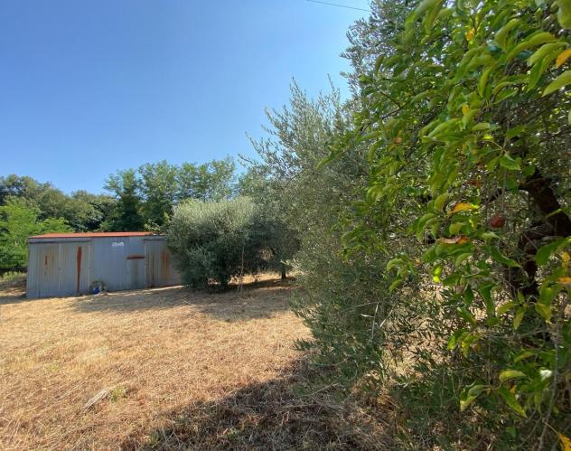 Terreno agricolo in vendita a Buti 1000 mq Rif: 1427835 - Foto 3