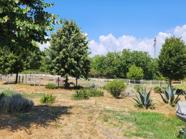 casa indipendente in vendita a Somma Vesuviana