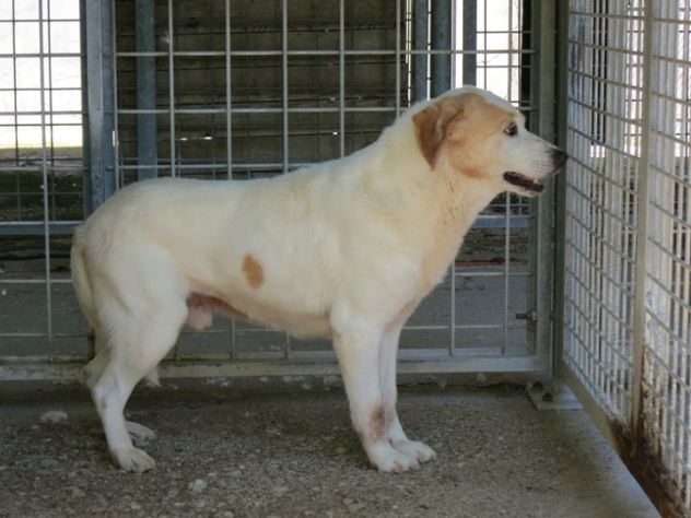 NEIL, dolce timidone - Foto 2