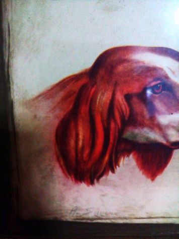 Quadro con cani - Foto 3