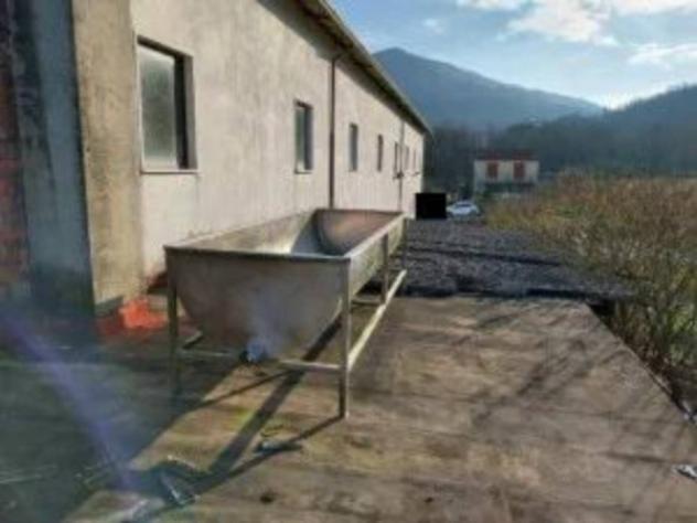 Immobile in asta di 2704 m² in vendita a Tresana - Foto 4