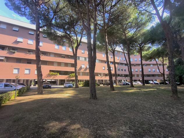 Pentalocale in vendita a Livorno - Foto 2