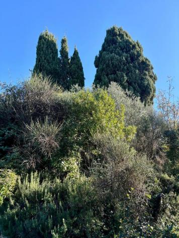 Villa in vendita a Sarzana - Foto 18