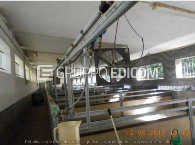 Fabbricati costruiti per esigenze industriali di 292.4 mq in vendita a Lamezia Terme - Rif. 4560204
