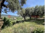 Terreno Agricolo - Verona . Rif.: Cod. rif 3325331VRG