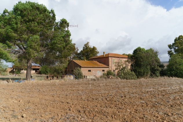 Magliano in Toscana, Podere Pantanella unione di passione e buon gusto - Foto 9
