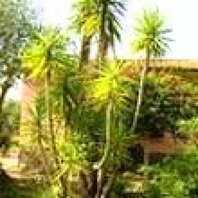 B&B Granja Rosa