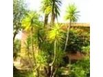 B&B Granja Rosa