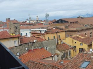 2 camere singole affitto studenti Pisa centro Lungarno Mediceo