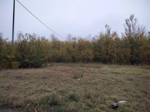 Immobile in asta di 15071 m² in vendita a Correggio - Foto 2