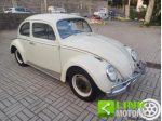 VOLKSWAGEN Maggiolino MY 63  in ordine di carrozzeria e meccanica