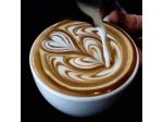 LINO (BARISTA)