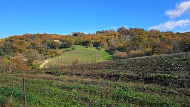 Azienda Agricola in vendita a Baschi - Foto 19