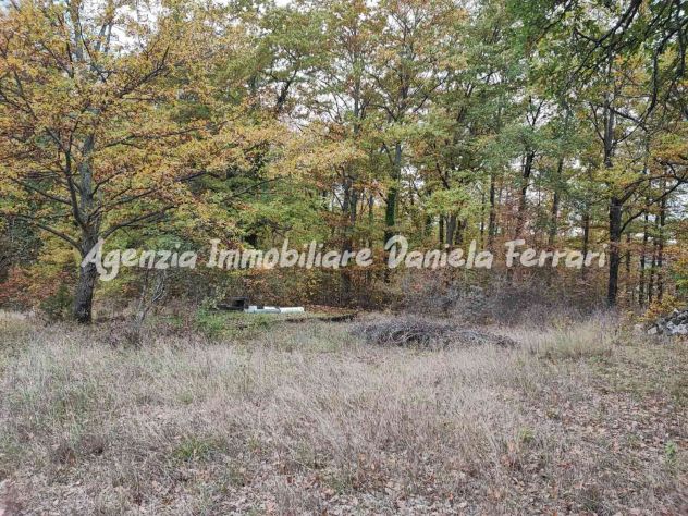 RIF 111 Un'opportunità unica per chi sogna di vivere immerso nella natura! - Foto 3