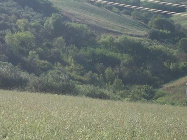 Uliveto in vendita a Lanciano - Foto 19