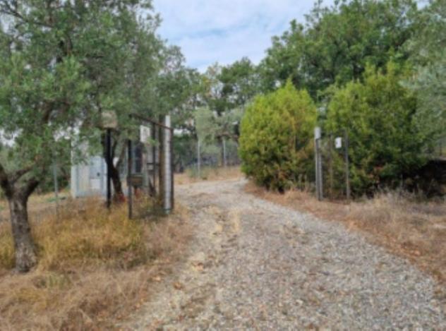 Immobile in asta di 19 m² in vendita a Montemurlo - Foto 7