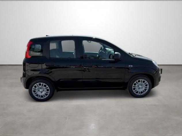 FIAT Pandina 1.0 FireFly 65 CV Hybrid Icon rif. 24167601 - Foto 7