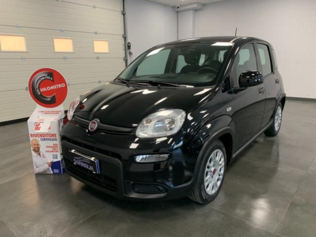 FIAT Panda 1.0 Benzina Hybrid City Life rif. 24052147 - Foto 3