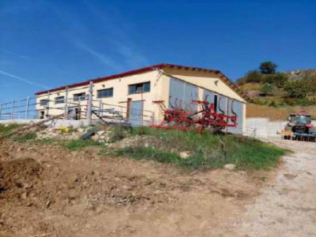Immobile in asta di 57516 m² in vendita a Sclafani Bagni - Foto 4