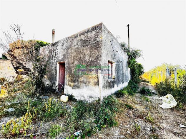 Rif.2375 - Casa di campagna con terreno e uliveto – Pedalino