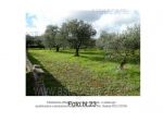 IMMOBILI-IMMOBILE RESIDENZIALE-Via Chiafele, 67, 74015 Martina Franca TA, Italia
