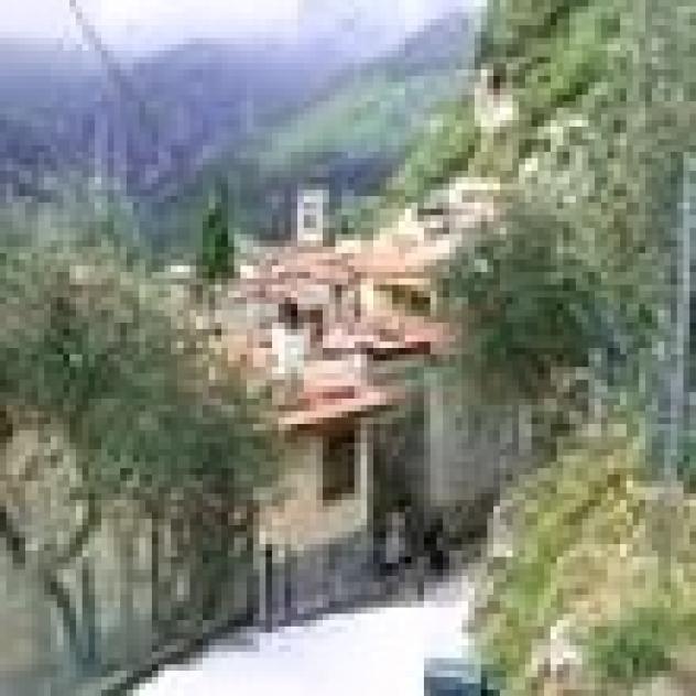 Navari Amedeo - Foto 3
