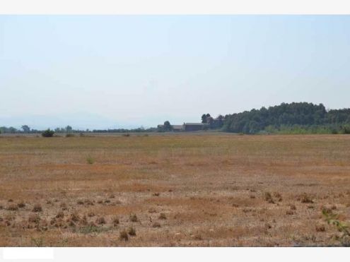Azienda Agricola 43 ha - Provincia di AL - Foto 3