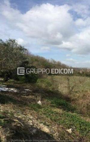 Terreno di 20393 mq in vendita a Chianche - Rif. 4551908 - Foto 4