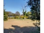 Terreno agricolo in vendita a Livorno 2100 mq  Rif: 1354847