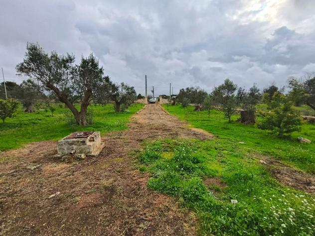 Terreno edificabile in vendita a Sannicola - Foto 4
