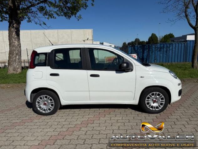 FIAT Panda 1.0 FireFly S&S Hybrid Apple CarPlay rif. 23995288 - Foto 7