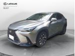 Lexus NX Hybrid Premium 4WD MY22