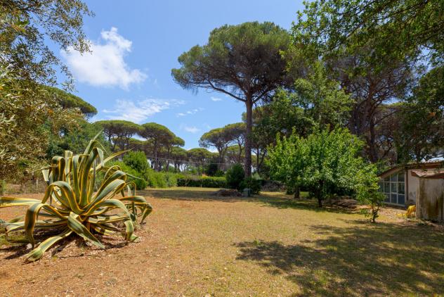 Villa in Via di Ceri - Foto 13