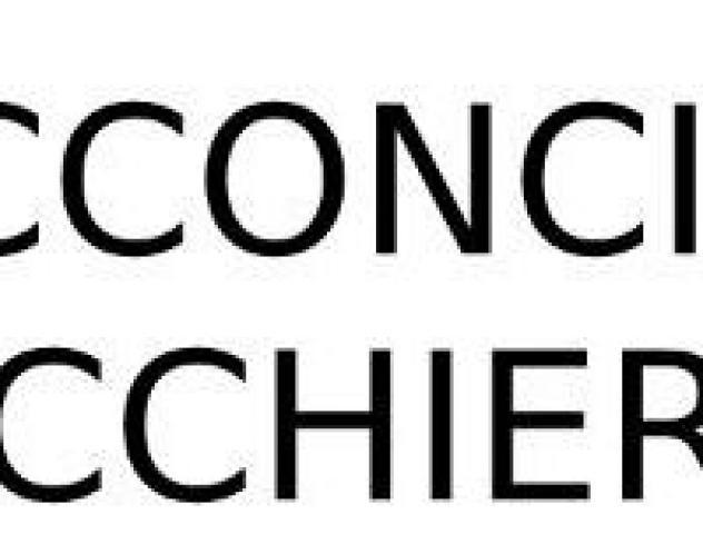 Life Acconciature