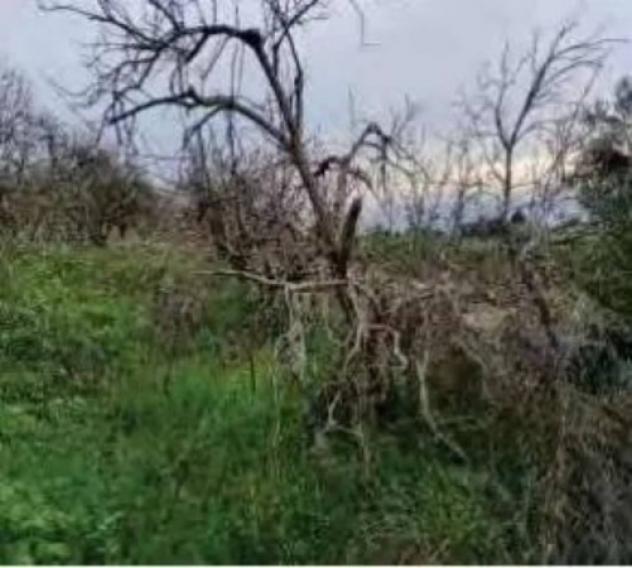 Immobile in asta di 39085 m² in vendita a Lentini - Foto 2