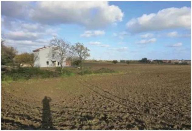 Immobile in asta di 5000 m² in vendita a Mondolfo - Foto 3