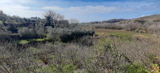 Seminativo in vendita a Montecorvino Rovella - Foto 3