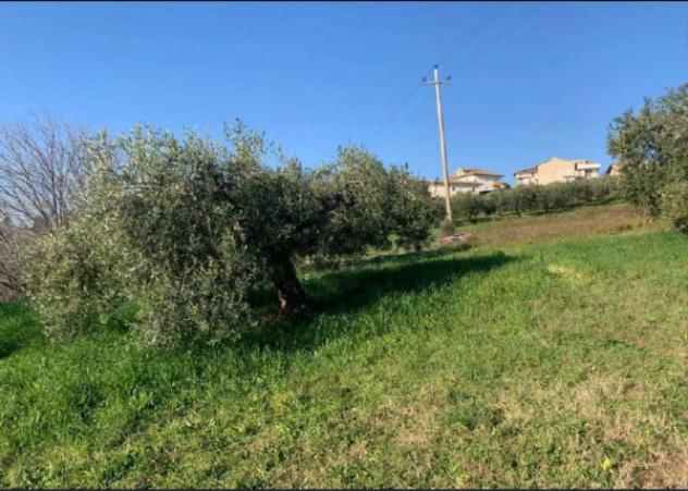 Immobile in asta di 2560 m² in vendita a Sant'Elpidio a Mare - Foto 6