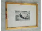 Stampa foto quadro  Romano  Mussolini autografata