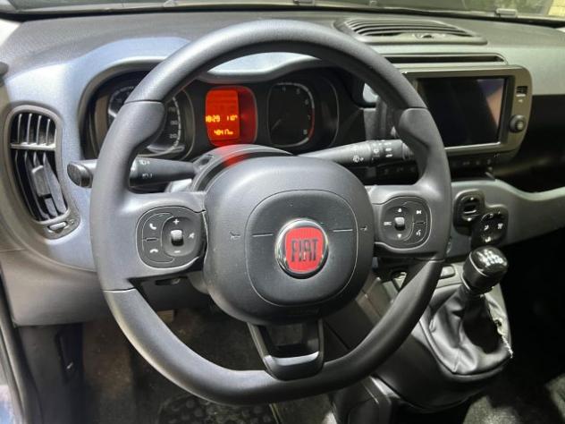 FIAT Panda 1.0 FireFly S&S Hybrid City Cross rif. 24077231 - Foto 10