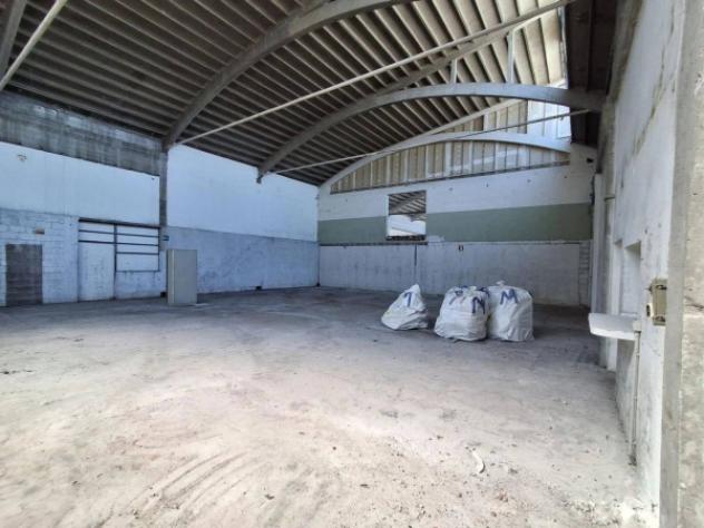 Immobile in asta di 2626 m² in vendita a Tavagnacco - Foto 9