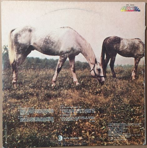 LUCIO BATTISTI -Amore e Non Amore- LP 1971 - Foto 3
