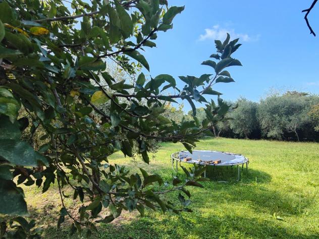 Villa in affitto a Livorno 130 mq Rif: 1190368 - Foto 5