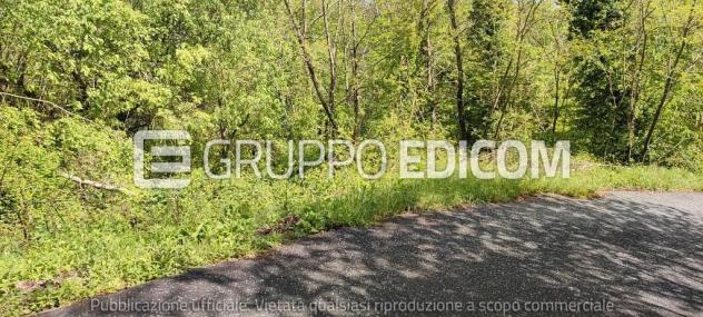 Terreno in vendita a Mulazzo - Rif. 3560036 - Foto 3