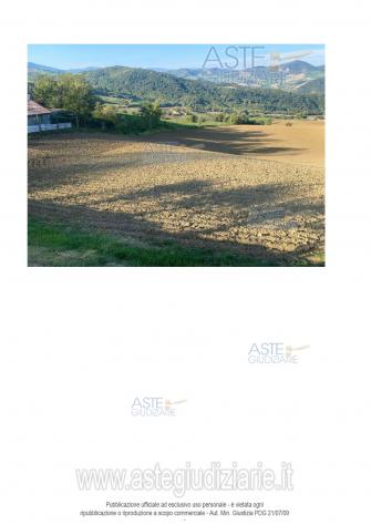 IMMOBILI-ALTRA CATEGORIA-Localita' La Ratina SNC