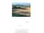 IMMOBILI-ALTRA CATEGORIA-Localita' La Ratina SNC