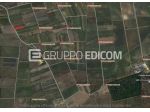 Terreno di 3948 mq  in vendita a Salice Salentino - Rif. 4540537